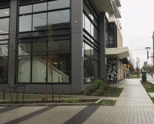 A modern building with large glass windows and balconies stands next to a wide, clean sidewalk lined with young trees on a cloudy day.